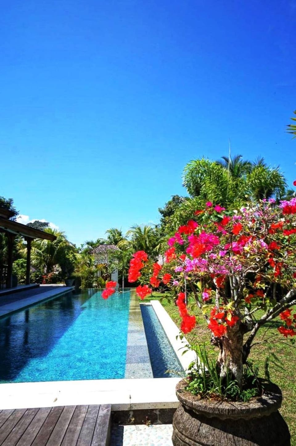 Natural landscape, Swimming pool