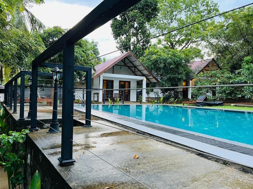 Pool view, Swimming pool