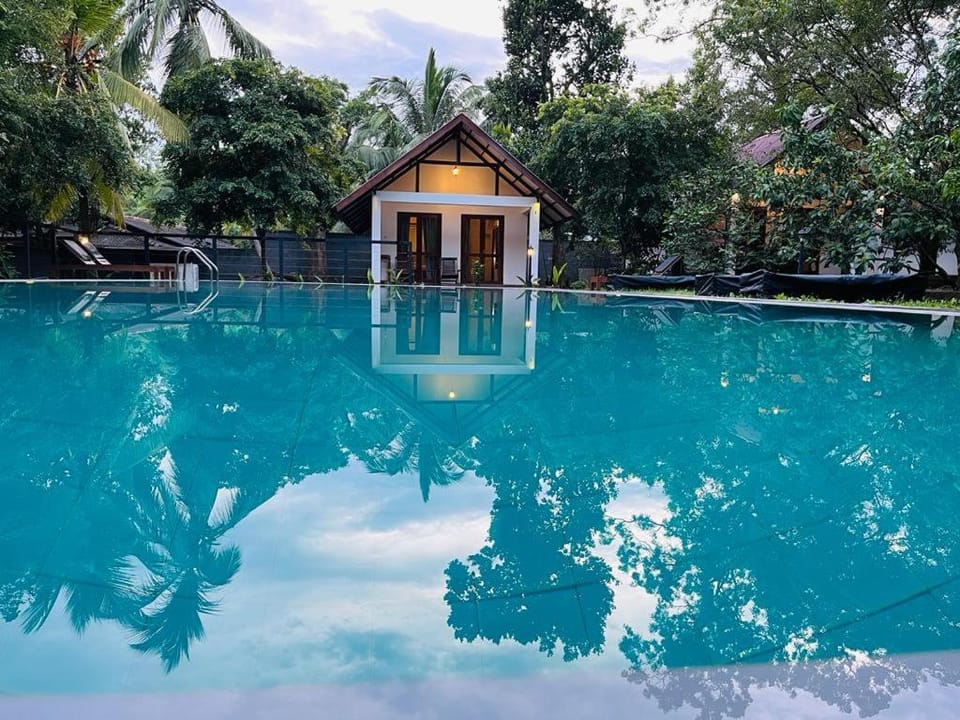 Natural landscape, Pool view