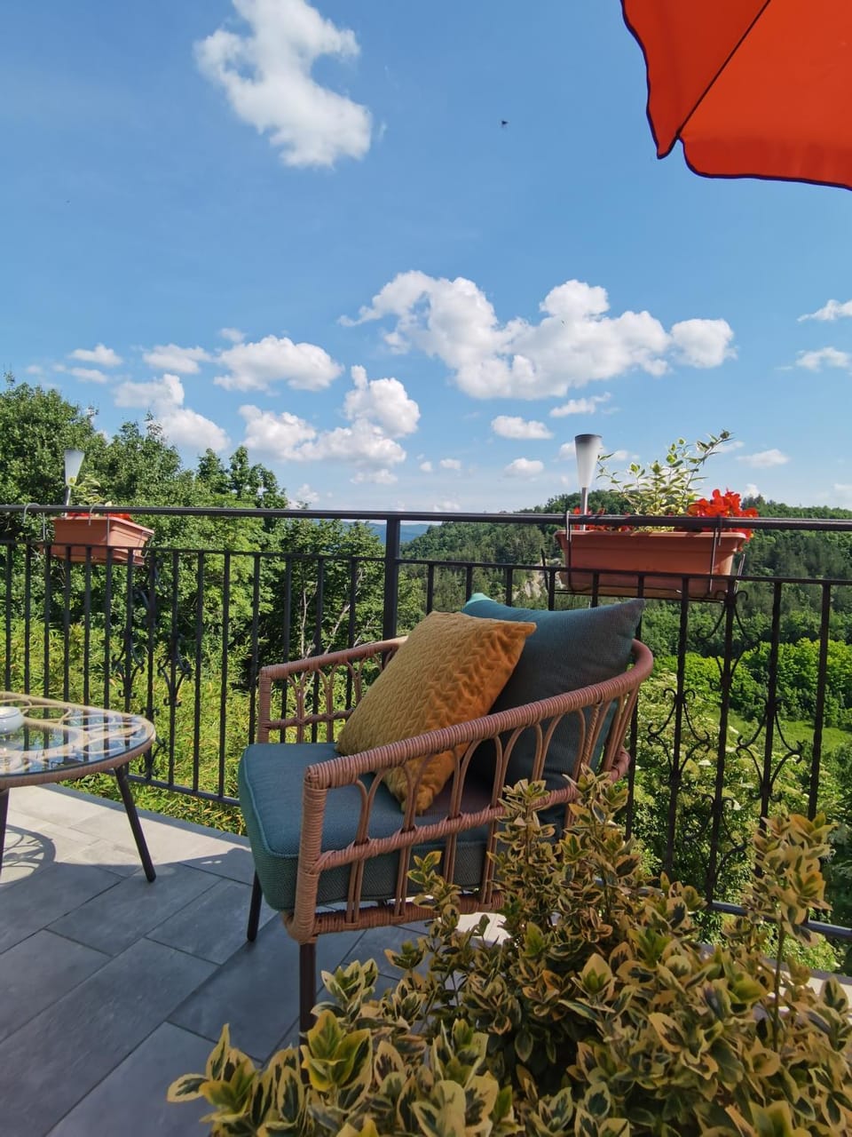 Garden view