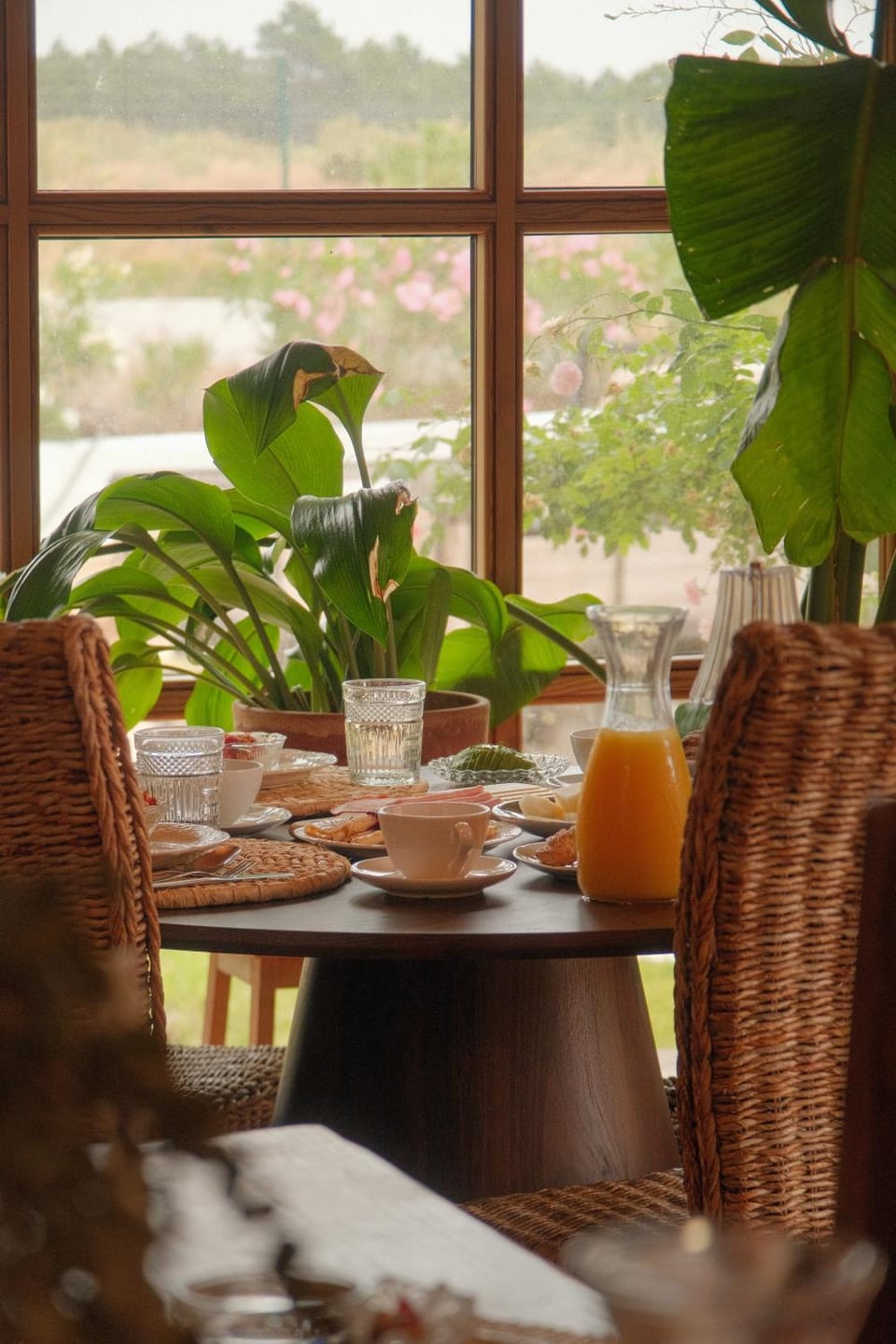 Dining area, Food