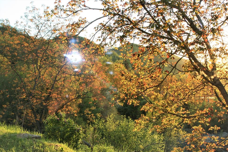 Agriturismo Malvista Farm Stay in Piedmont