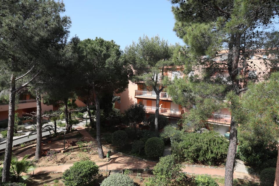 Natural landscape, Garden, Balcony/Terrace, Garden view