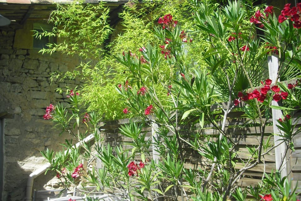 Garden, Balcony/Terrace