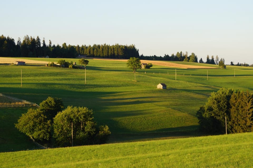 Black Forest Lodge Bed and Breakfast in Baden-Württemberg