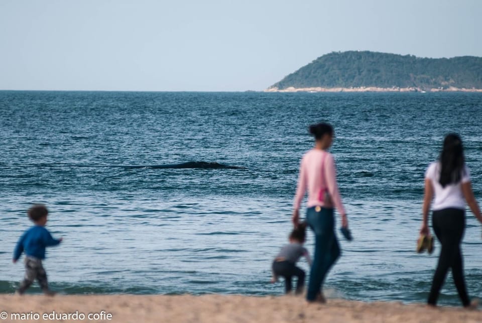 Natural landscape, Beach