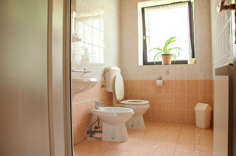 Toilet, Bathroom, bidet