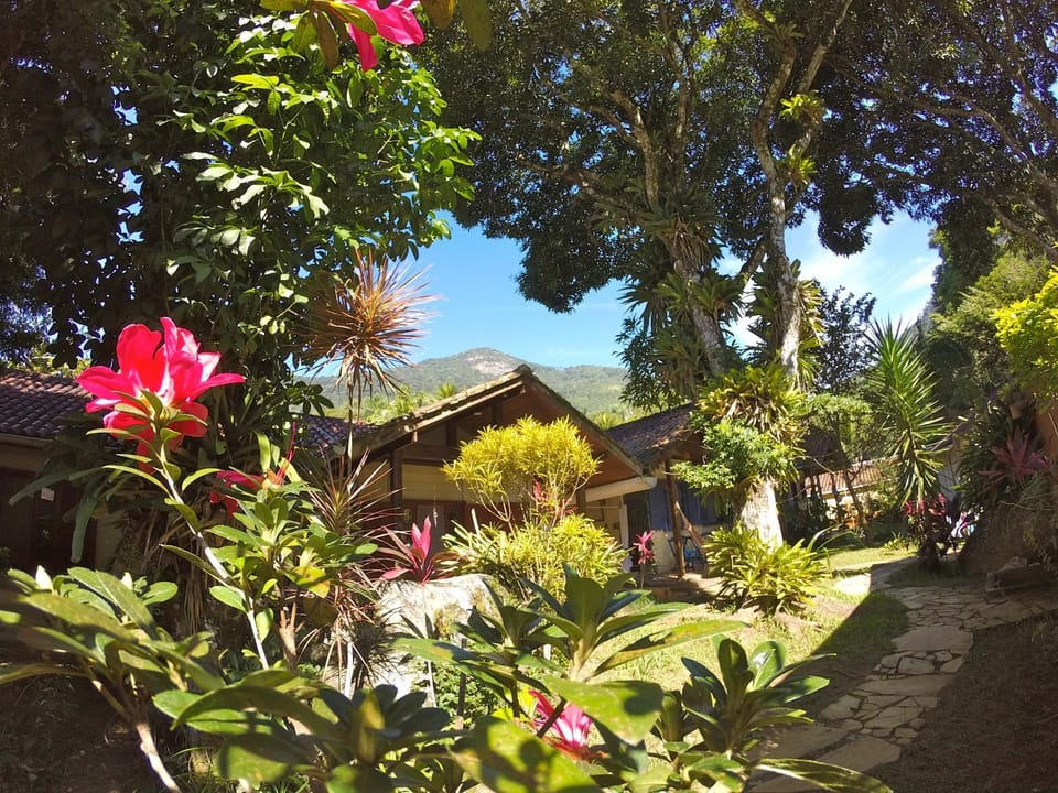 Day, Summer, Garden, On site, Garden view