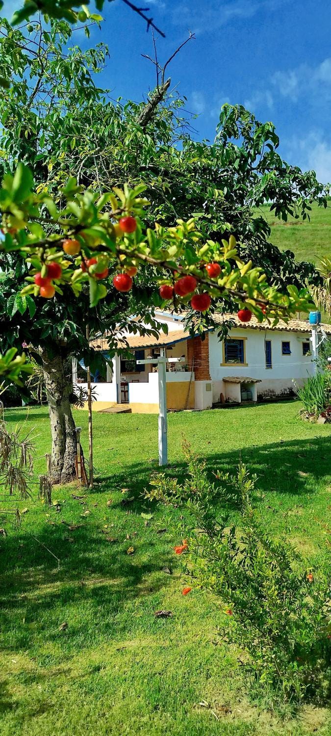 Property building, Day, Natural landscape, Garden, Garden view
