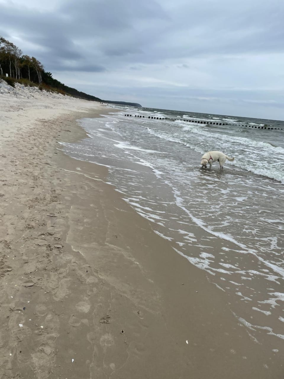 Natural landscape, Beach, Sea view