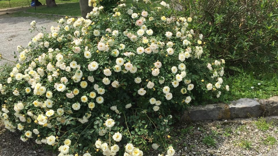 Fondo Giardinetto Bed and Breakfast in Emilia-Romagna