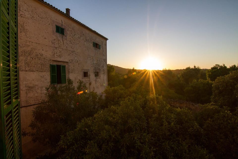 Spring, Natural landscape, Other, On site, Swimming pool, Sunset