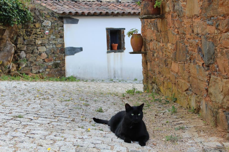 Vilar dos Condes Country House in Coimbra District, Portugal