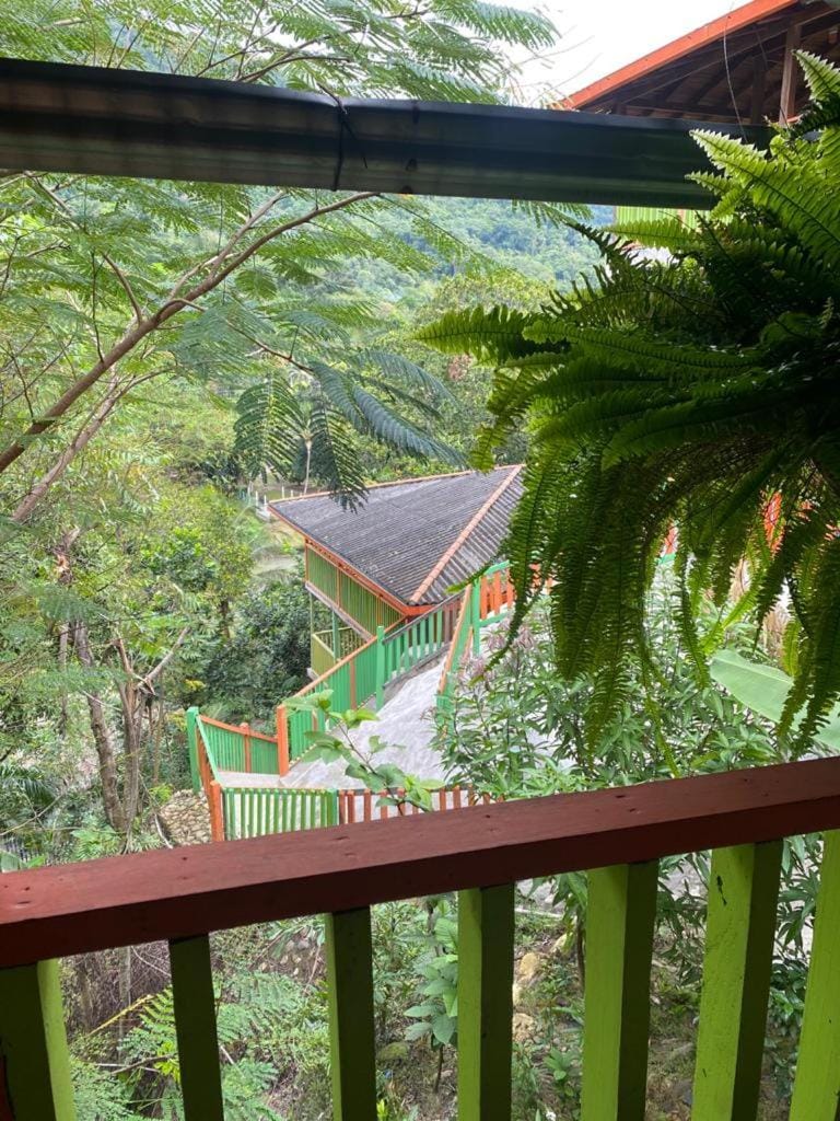 Cabañas Ecoturisticas Y Club Gaira Tayrona Nature lodge in Magdalena, Colombia