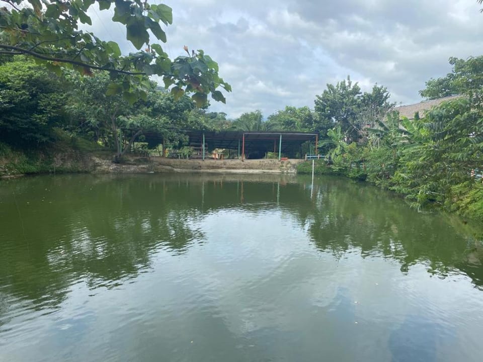 Cabañas Ecoturisticas Y Club Gaira Tayrona Nature lodge in Magdalena, Colombia