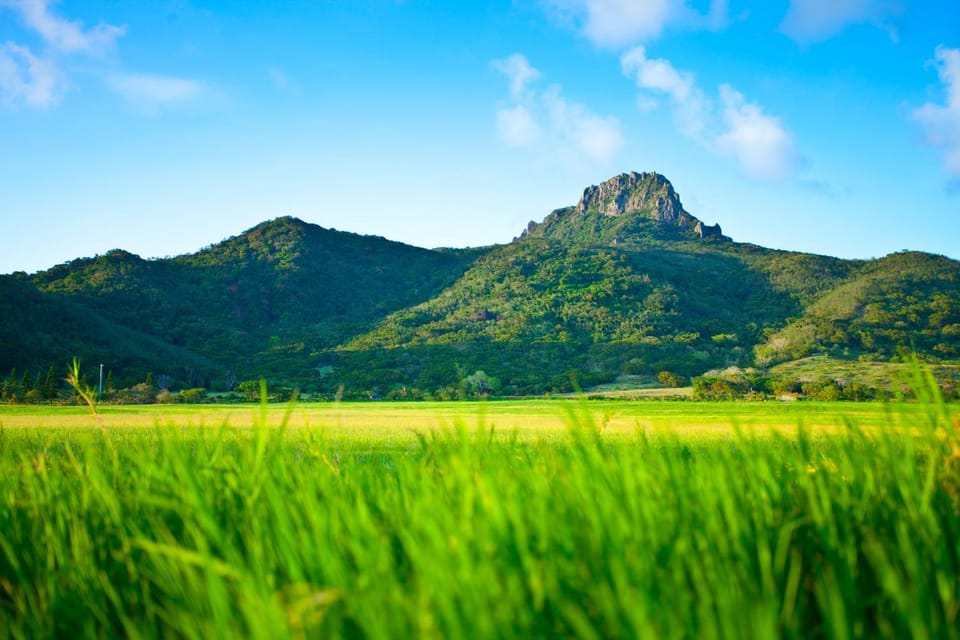 Mountain view
