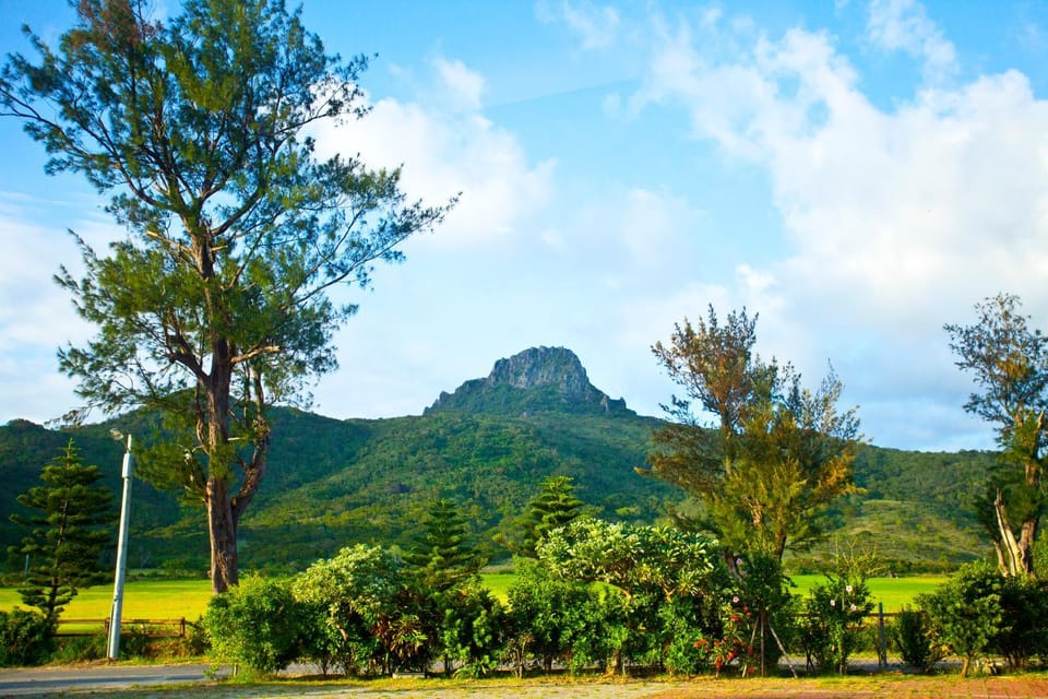 Mountain view
