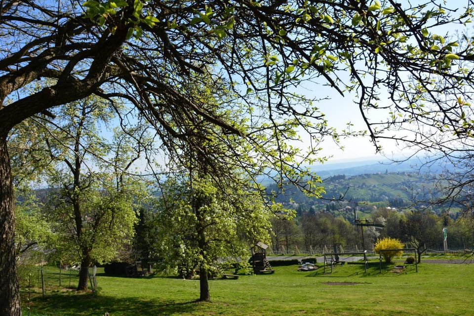 View (from property/room)