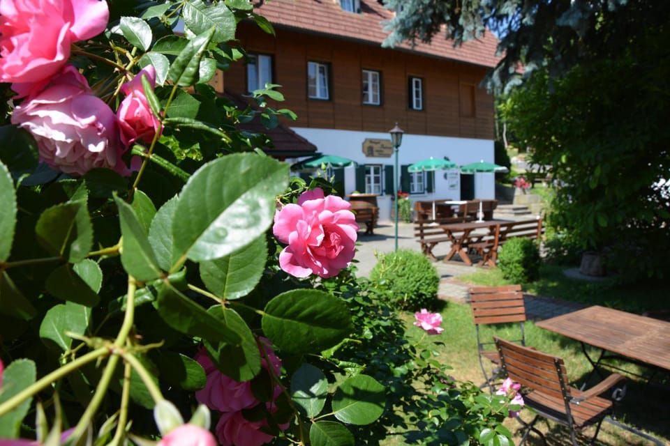 Property building, Garden, Garden view