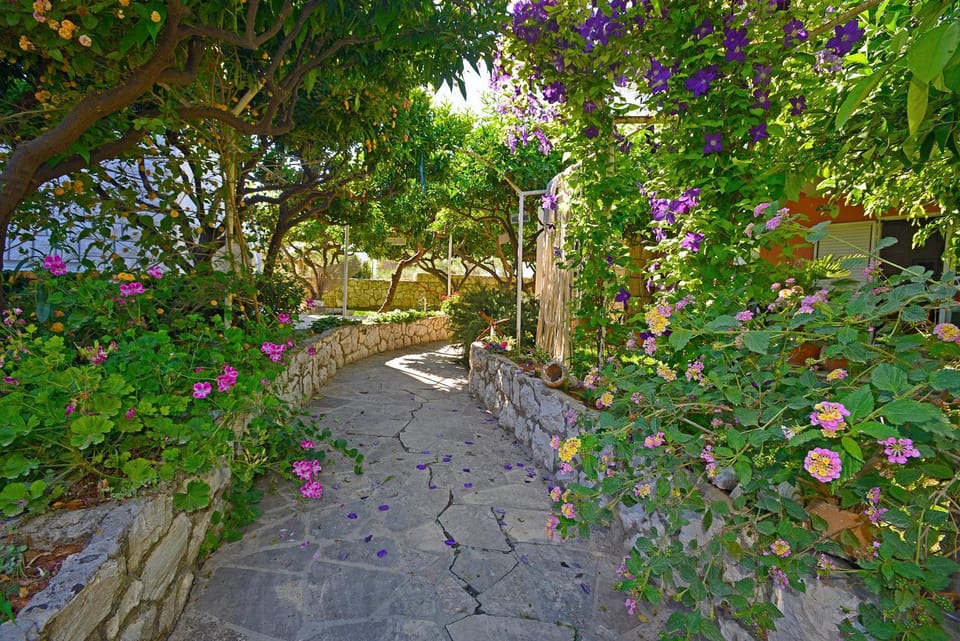 Day, Summer, Garden, On site