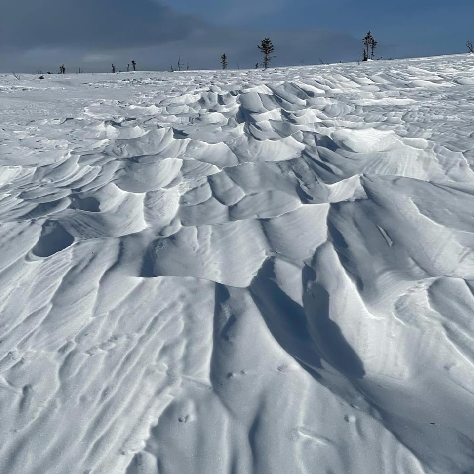 Natural landscape, Winter