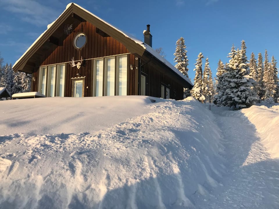 Winter