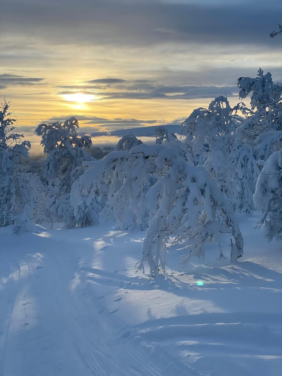 Natural landscape, Winter, Sunrise