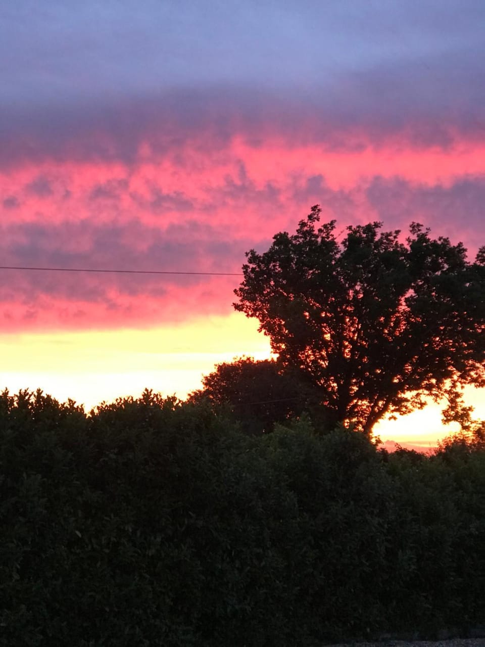 Little Banks Barn Apartment in Ringwood