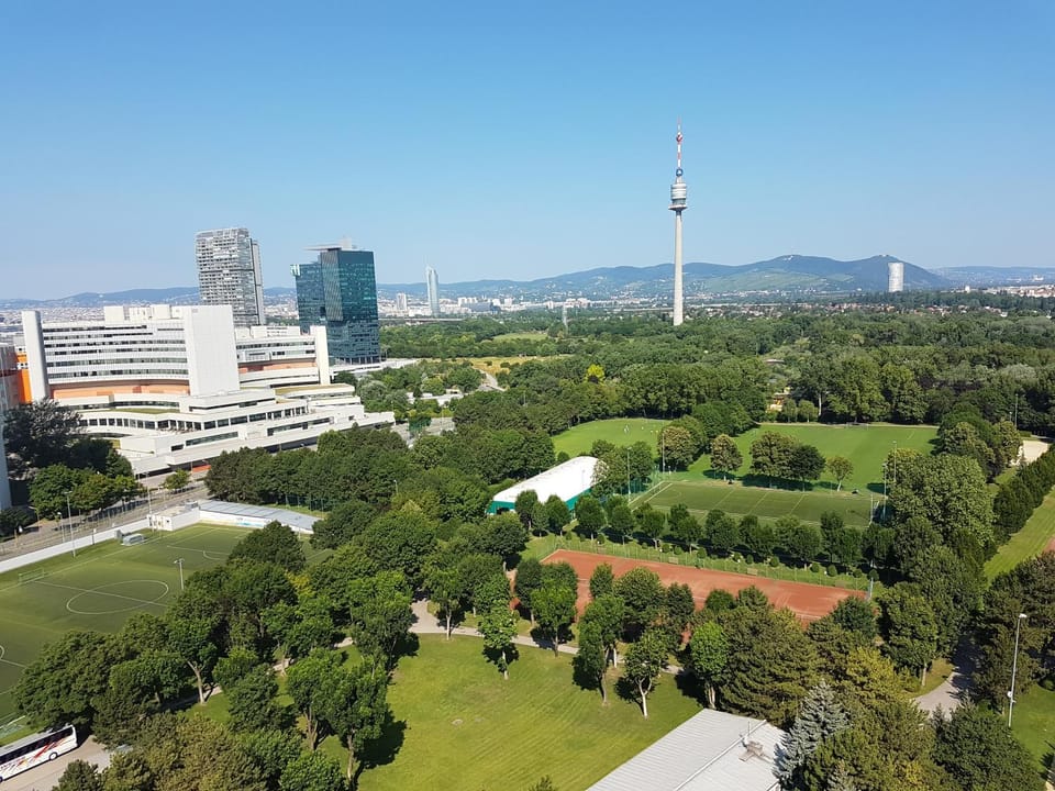 Summer, City view, Garden view