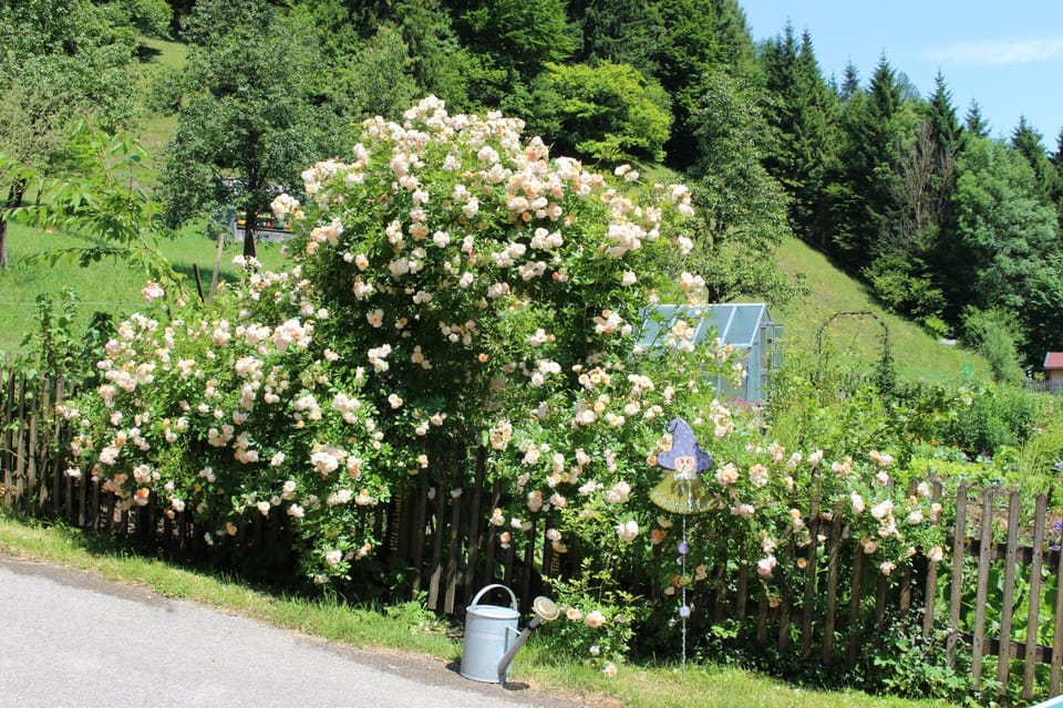 Garden, Garden view