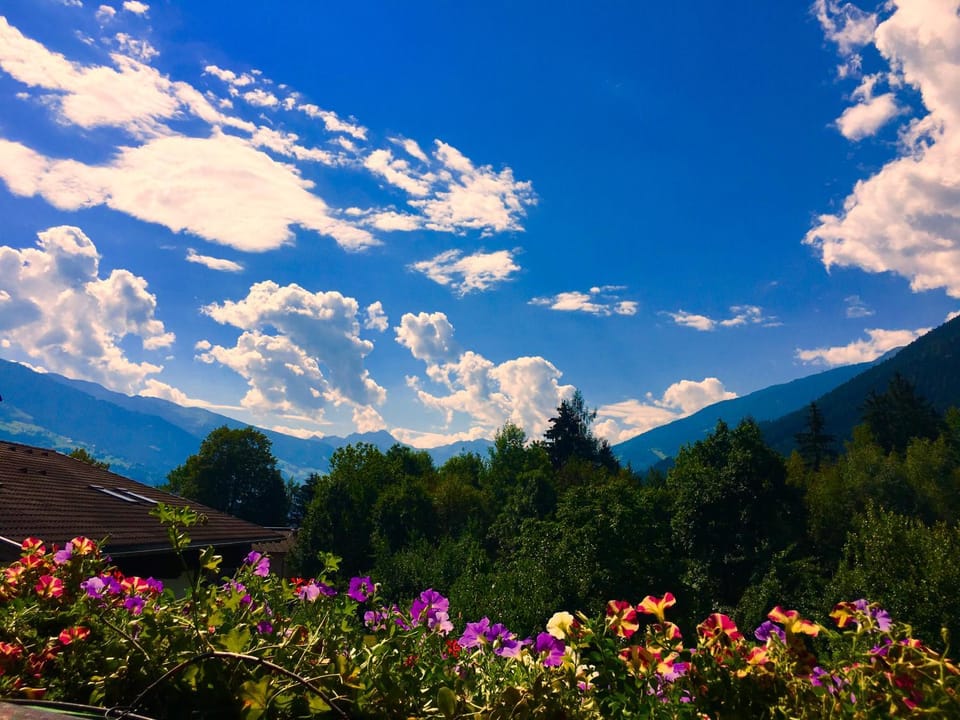 Summer, Mountain view