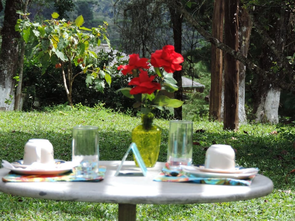 Day, Activities, Decorative detail, Food, Mountain view