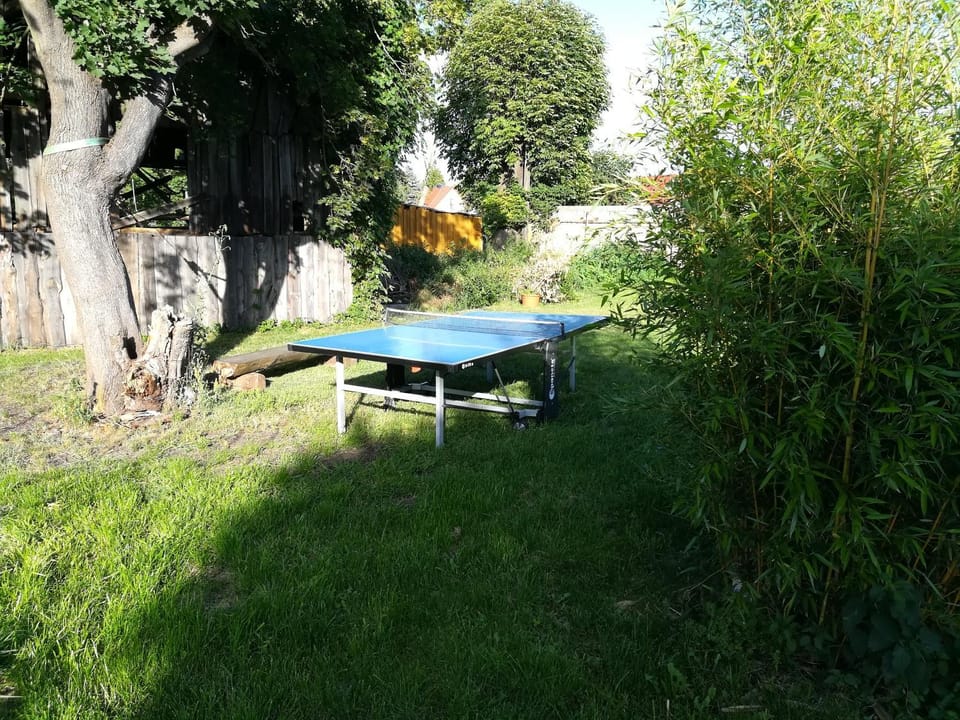 Garden, Table tennis
