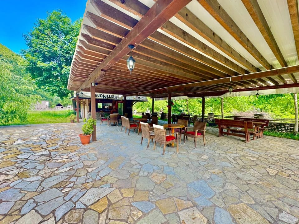 Patio, Restaurant/places to eat, Spring, Day, Dining area