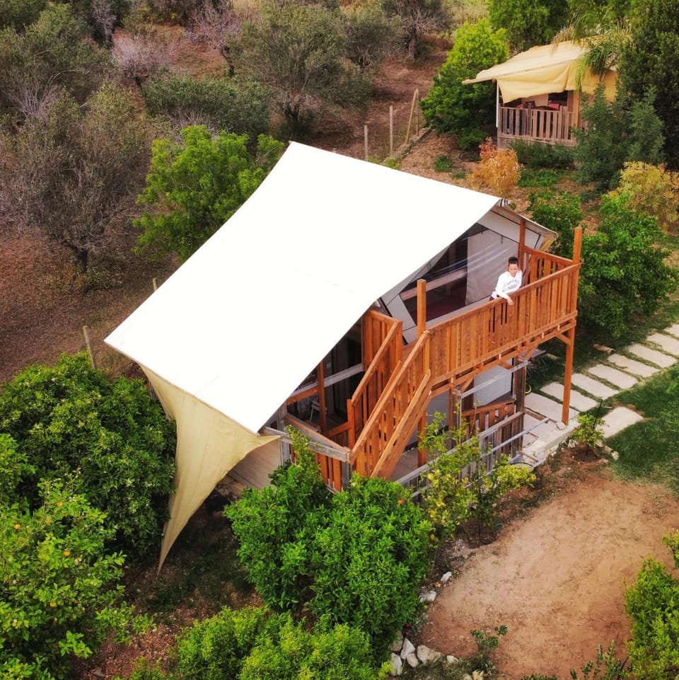 Property building, Day, Natural landscape, Bird's eye view, Garden, Garden view