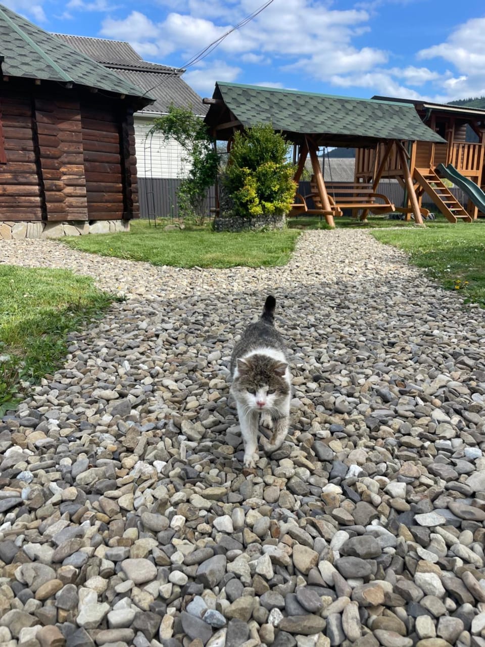 Karpatskyi Teremok Bed and Breakfast in Romania