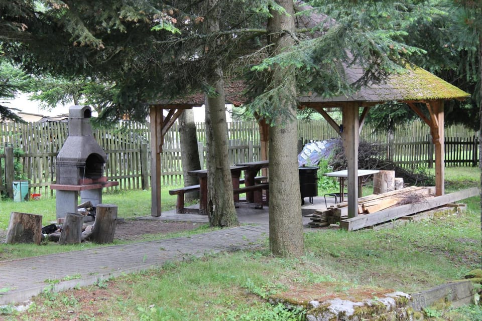 Spring, Area and facilities