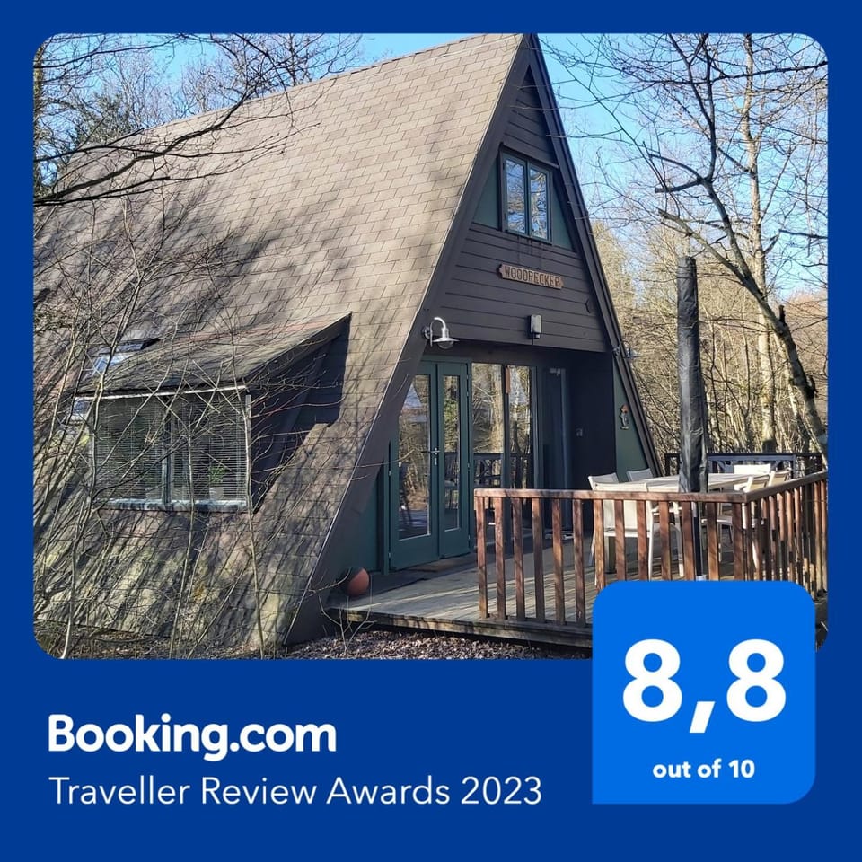 Woodpecker - bungalow 29 Chalet in Wallonia, Belgium