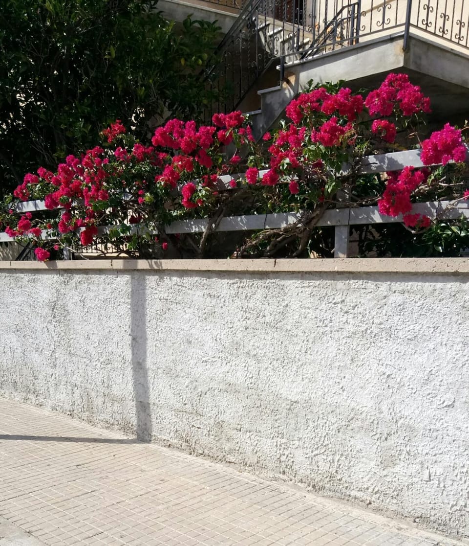 Rosy B&B Bed and Breakfast in Alghero