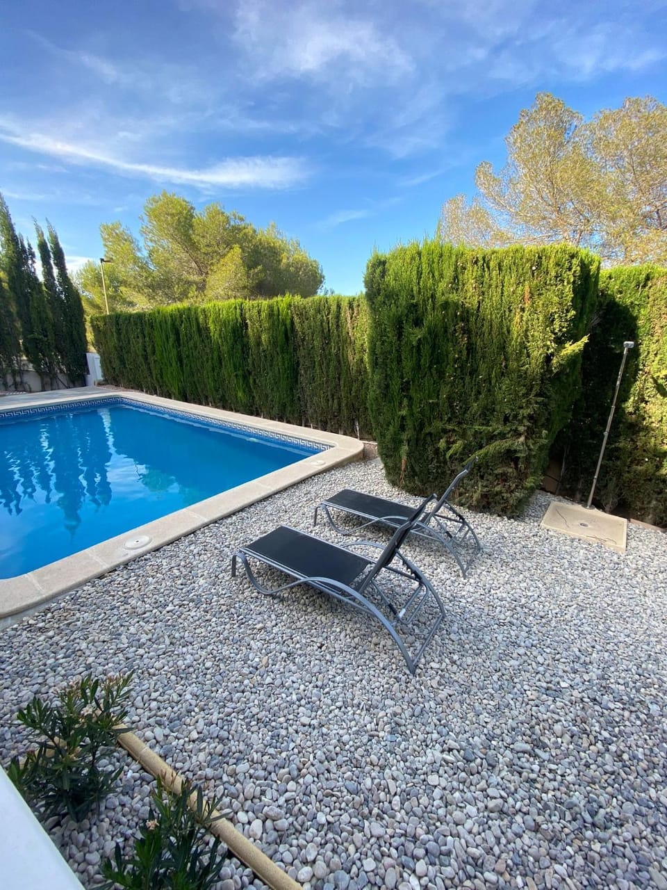 Natural landscape, Summer, Garden, Swimming pool, Swimming pool