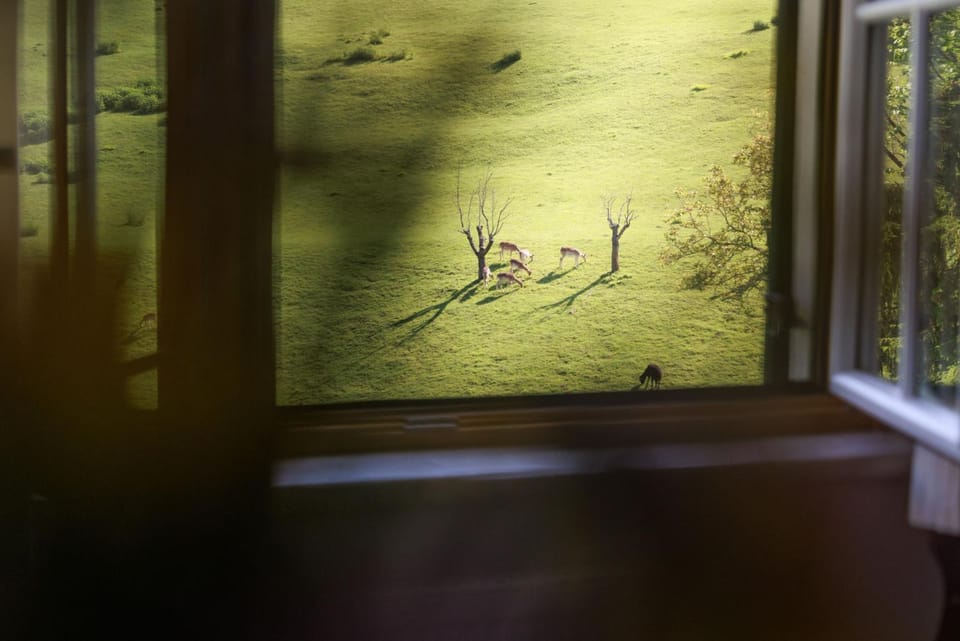 Natural landscape, View (from property/room)