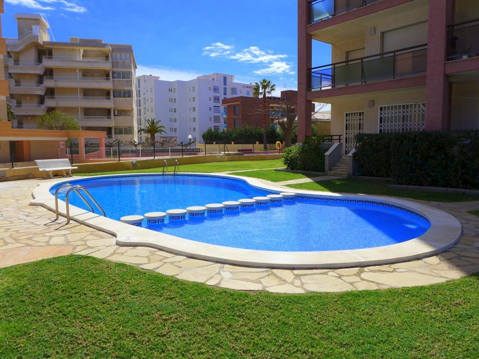 Garden, Swimming pool