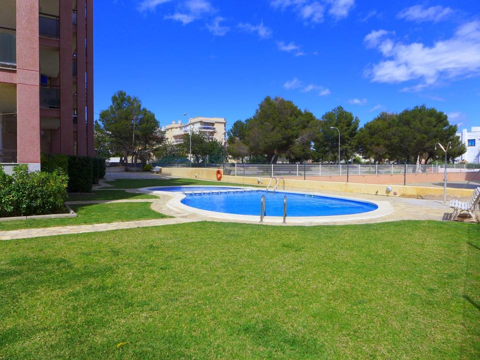 Garden, Swimming pool