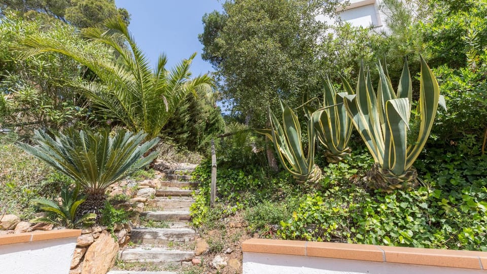 Patio, Garden, Garden view