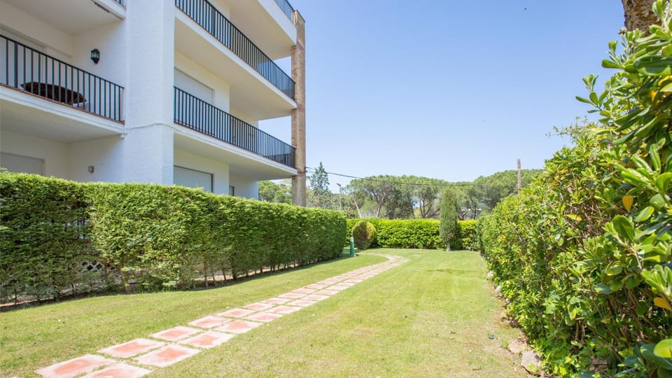 Patio, Garden, Garden view