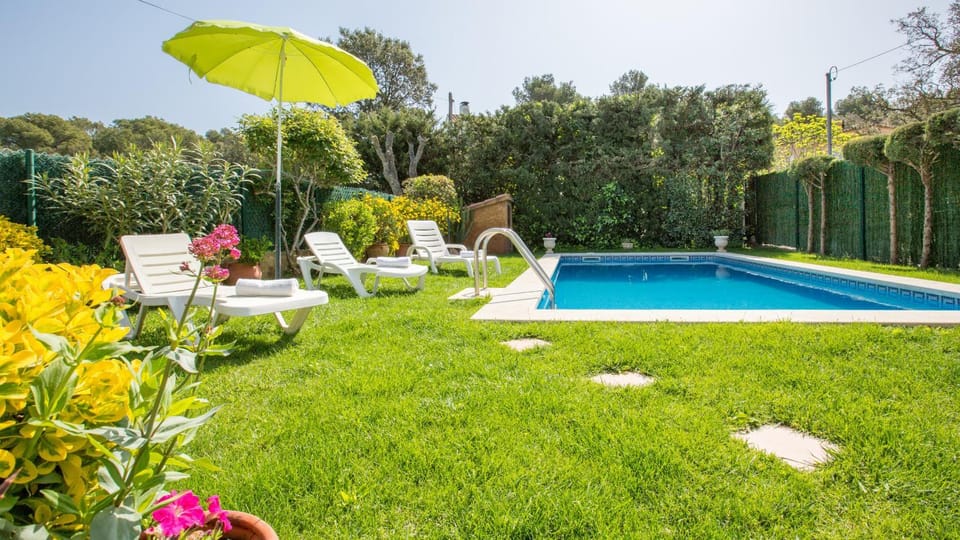 Patio, Garden, Garden view