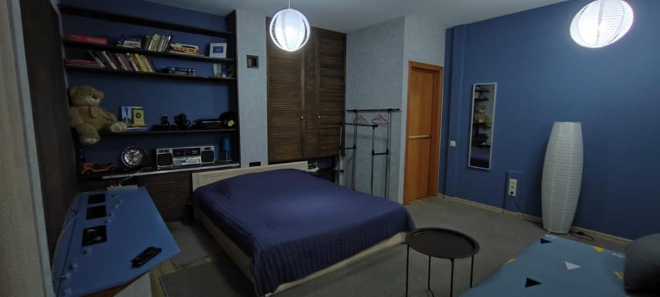 Photo of the whole room