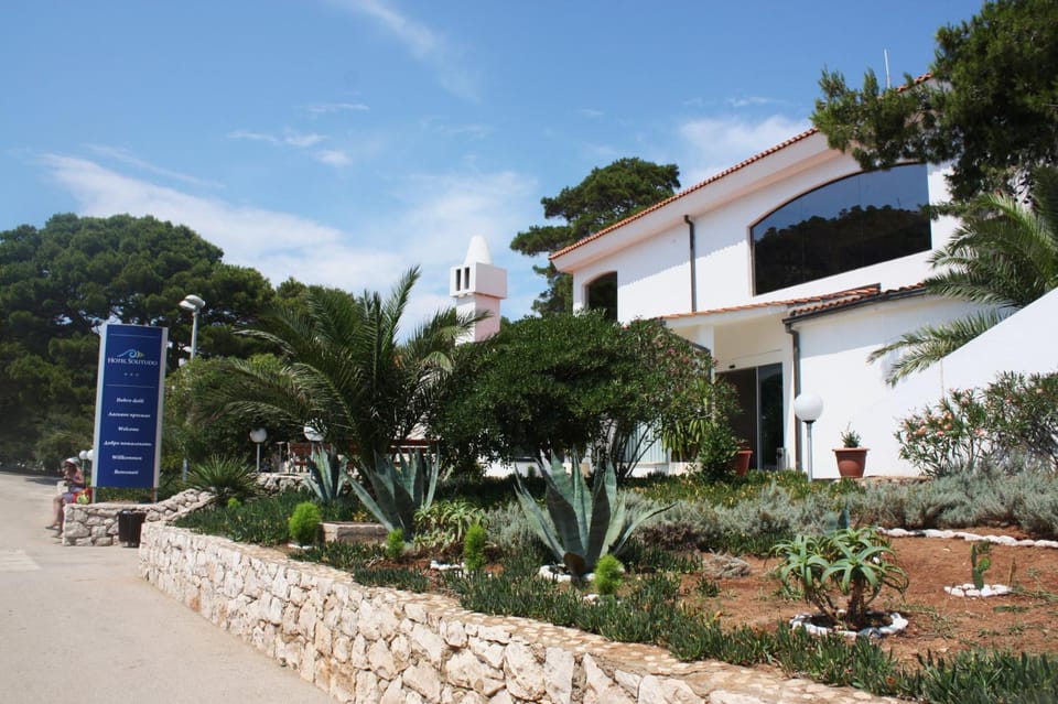 Property building, Day, Garden