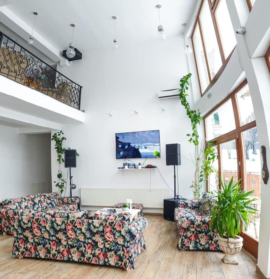 Casuta Din Padure Bed and Breakfast in Brașov County