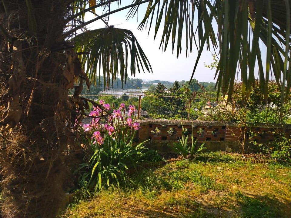 Garden, View (from property/room), River view